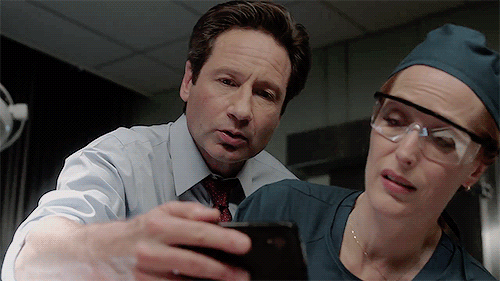 Scully, have you downloaded Signal yet?